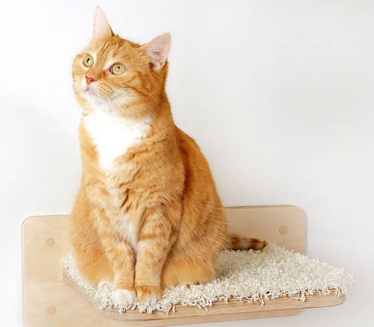 Liegeplatte Aufstiegshilfe