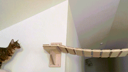 Wand-Set Hängebrücke