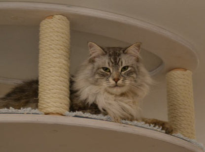 Hängebrücke & Katzenhimmel inkl. Sisal