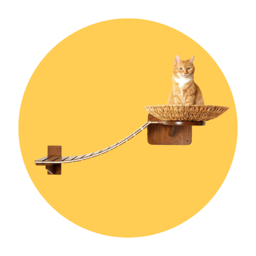 Katze auf Wand Set