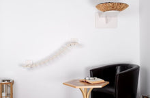 Kletter Set: Hängebrücke und Wandschale