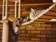 Decken - Set Laufbohle Premium