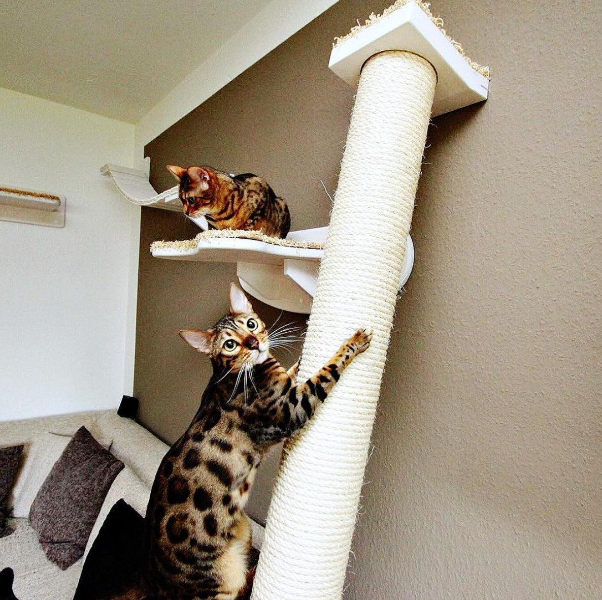 Boden-Klettersäule Freeclimber