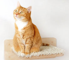 Liegeplatte Aufstiegshilfe